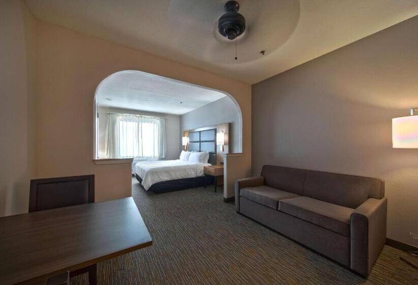 هتل Wingate By Wyndham Houston Bush Intercontinental Airport