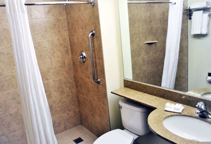 Microtel Inn And Suites By Wyndham Toluca