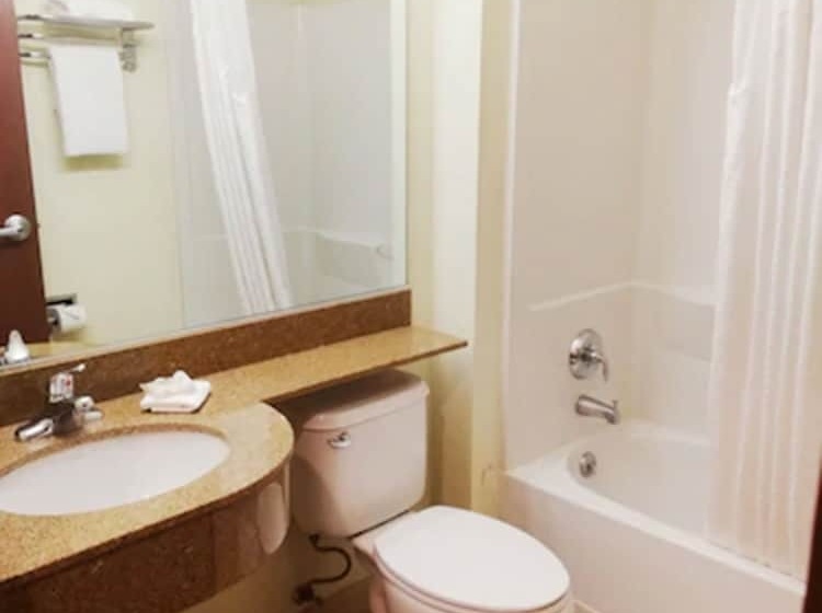 Microtel Inn And Suites By Wyndham Toluca