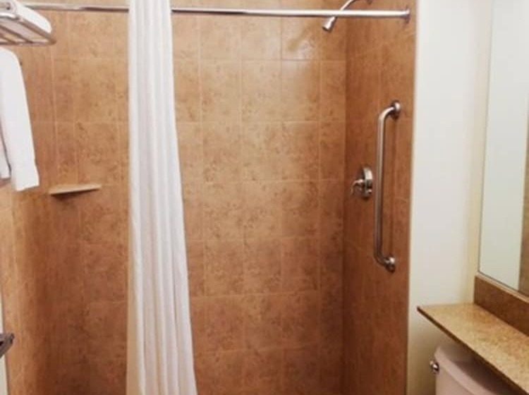 Microtel Inn And Suites By Wyndham Toluca