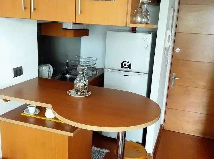 Deptos Providencia Sm