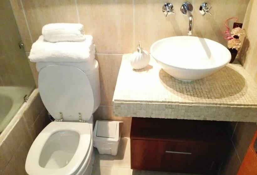 Deptos Providencia Sm