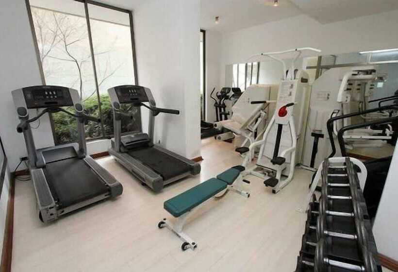 Deptos Providencia Sm