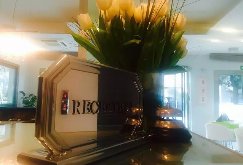 The One Hotel Designed For Adults Pet Lovers