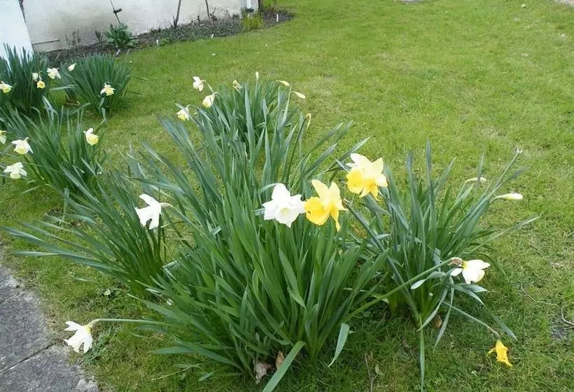 Bed and Breakfast Bed&Breakfast The White Cottage