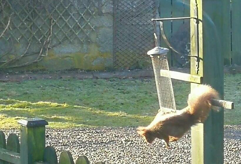 צימר Crubenbeg Country House