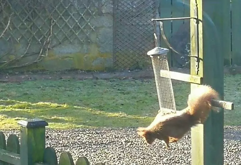 צימר Crubenbeg Country House