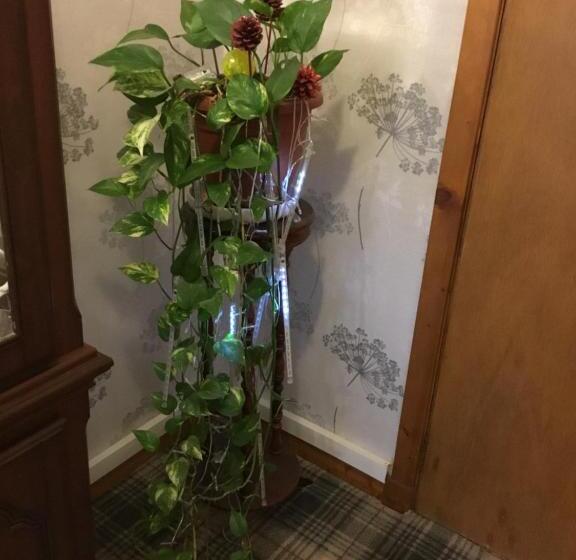 Hotel Alltonside Guest House