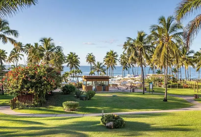 リゾートホテル Sauipe Brisa Grand Premium All Inclusive