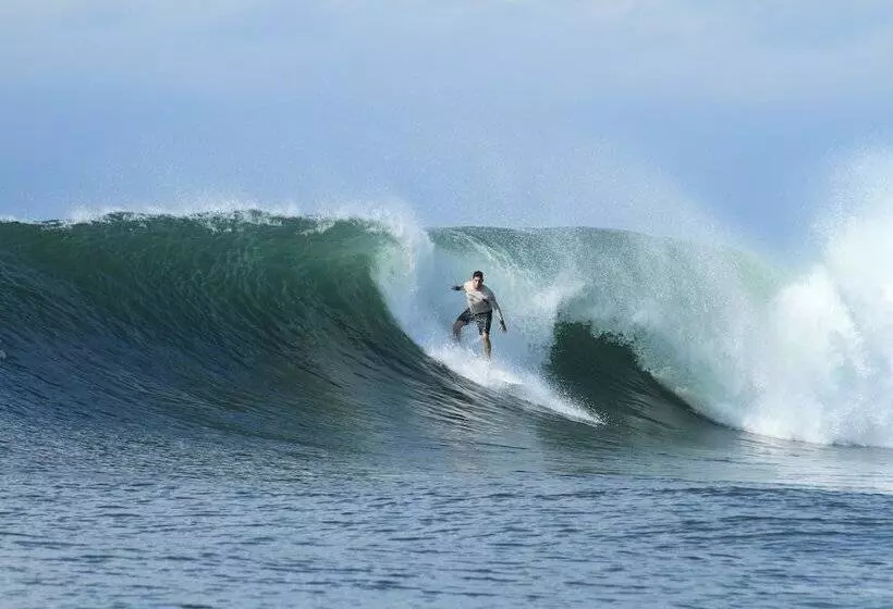 Hotelli Punta Mango Surf & Beachfront Resort