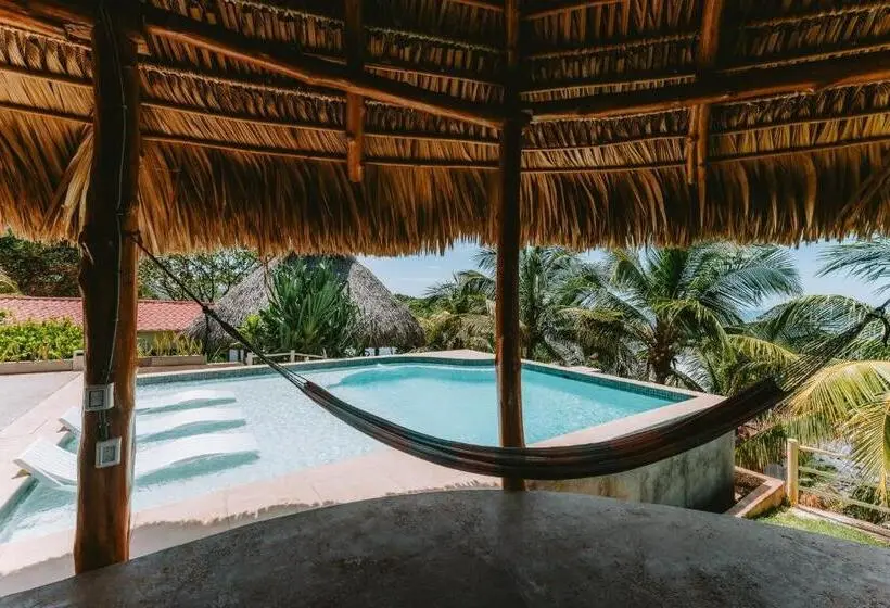 ホテル Punta Mango Surf & Beachfront Resort