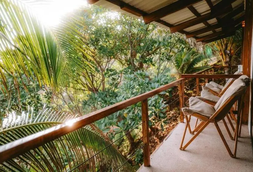 ホテル Punta Mango Surf & Beachfront Resort