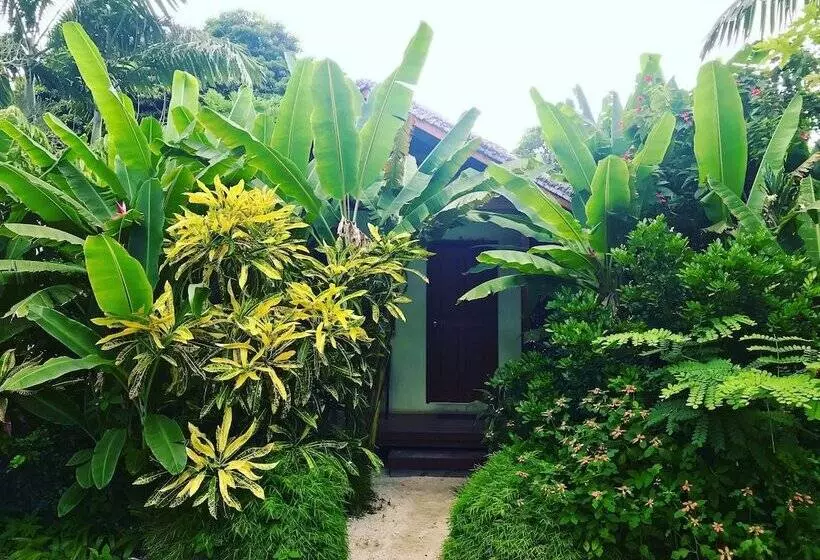 هتل Tanna Evergreen Resort & Tours