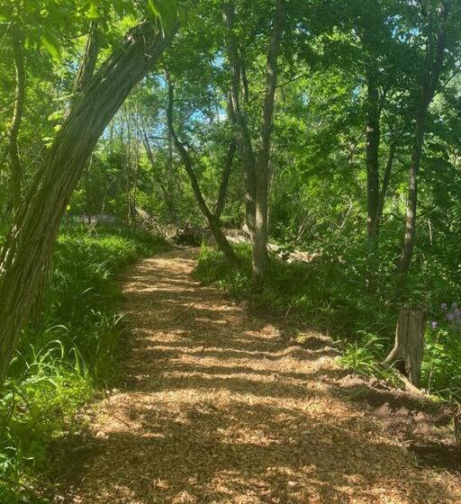 הוסטל Murphys Law Inn 2