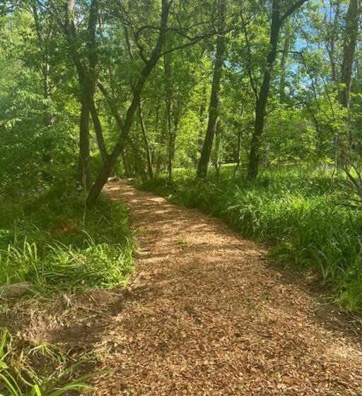 הוסטל Murphys Law Inn 2