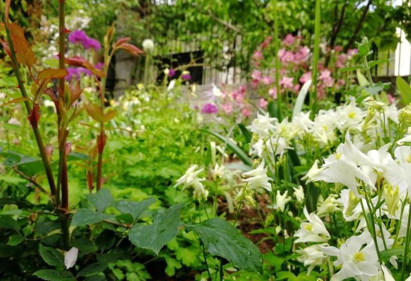 住宿加早餐  Le Petit Chateau