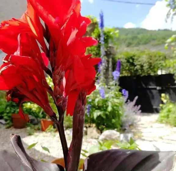 Aamiaismajoitus (B&B) Le Petit Chateau