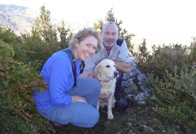 Aamiaismajoitus (B&B) Le Petit Chateau