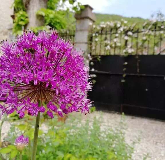 Aamiaismajoitus (B&B) Le Petit Chateau