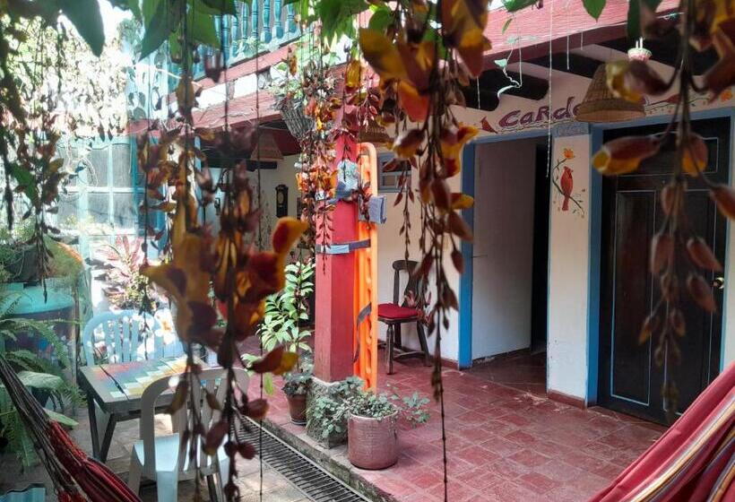 בית מלון כפרי Beija Flor Hostel