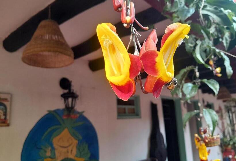 בית מלון כפרי Beija Flor Hostel