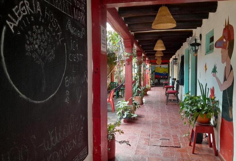 בית מלון כפרי Beija Flor Hostel