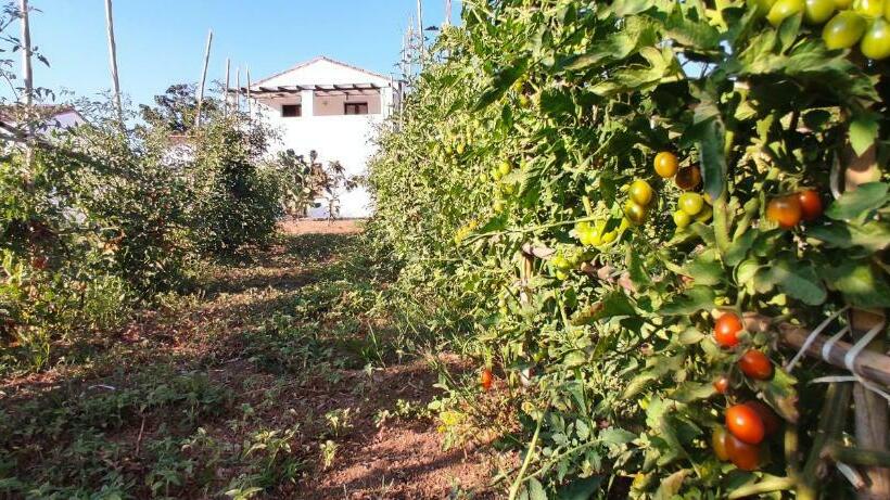 בית מלון כפרי Cort'e Nastasj