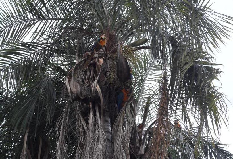 فندق Thermas Lagoa Santa