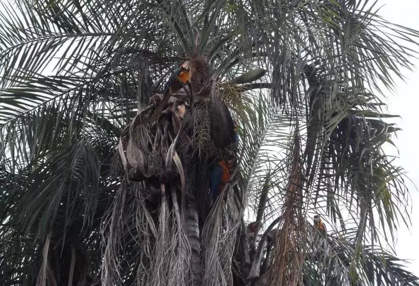 Hotelli Thermas Lagoa Santa