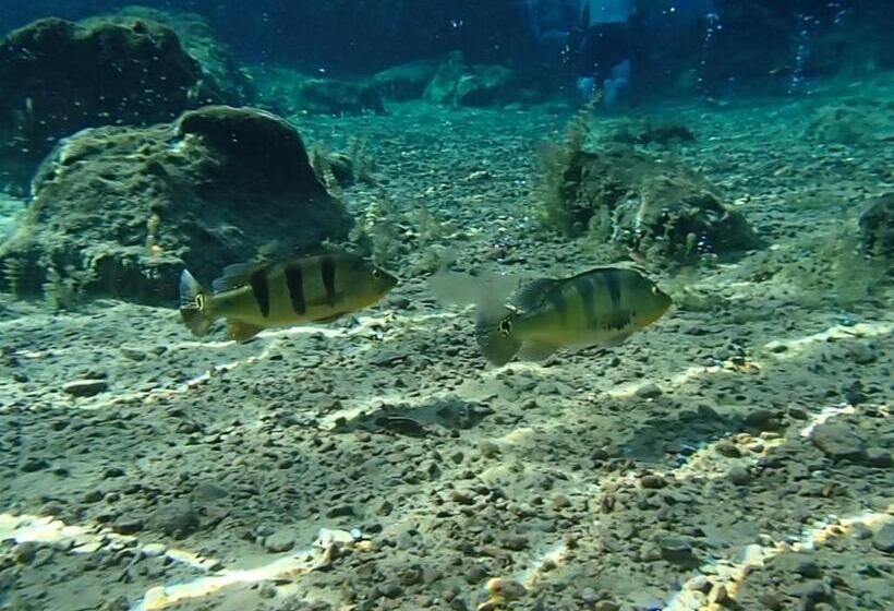 فندق Thermas Lagoa Santa