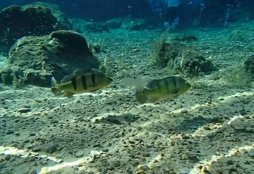 Hotelli Thermas Lagoa Santa