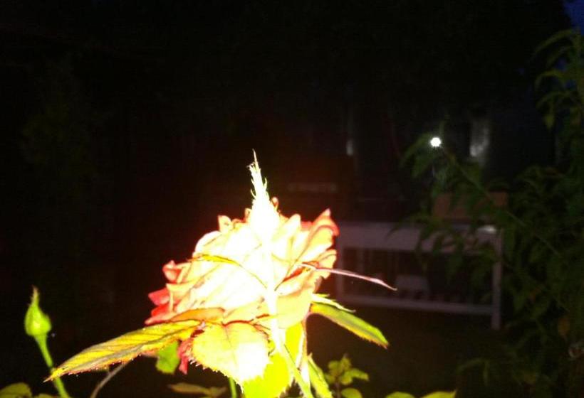 פנסיון Vila Rianna