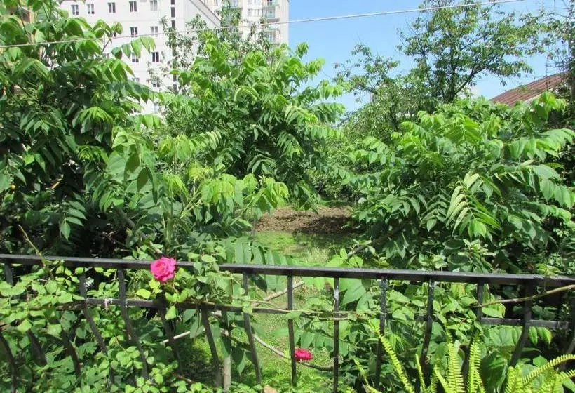 هاستل Jesis Batumi