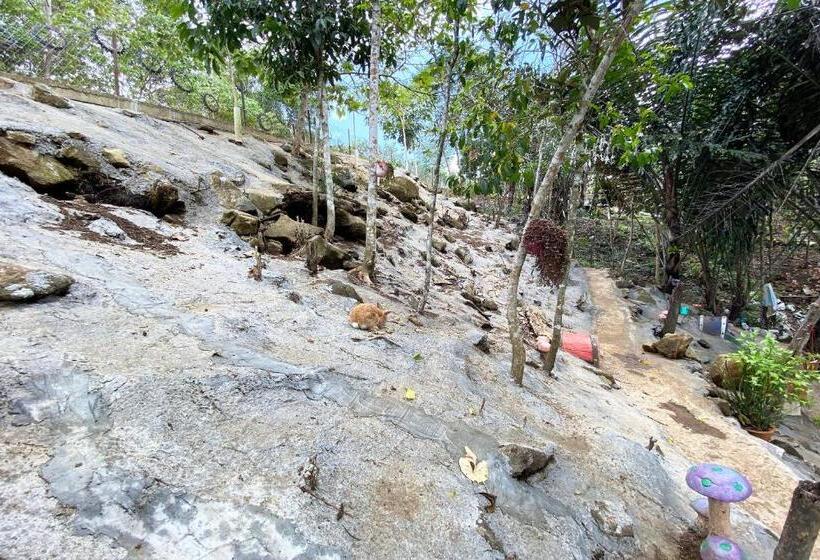 Hotel Spot On 90279 Kinomulok Garden