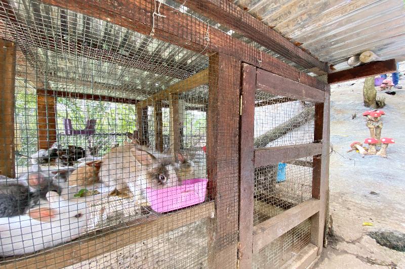 Hotel Spot On 90279 Kinomulok Garden