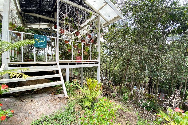 Hotel Spot On 90279 Kinomulok Garden