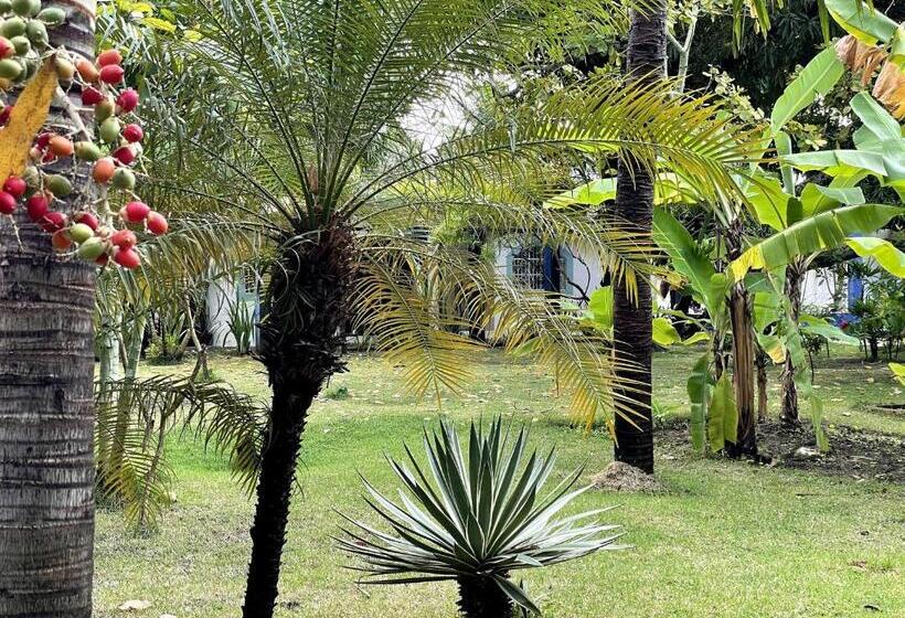 ホテル Villa Ostello