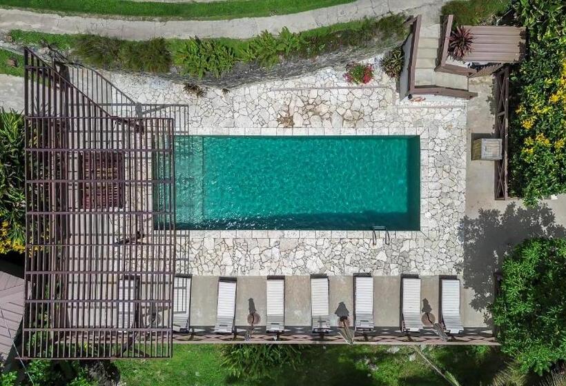 هتل Casa Grande Mountain Retreat Adults Only