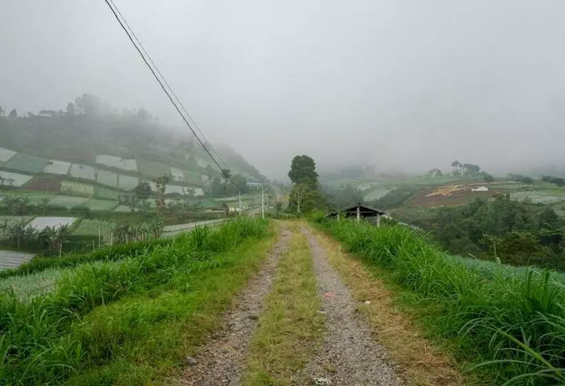 ホテル Reddoorz Near Candi Cetho Karanganyar