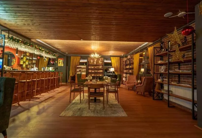 Library Hotel Erciyes