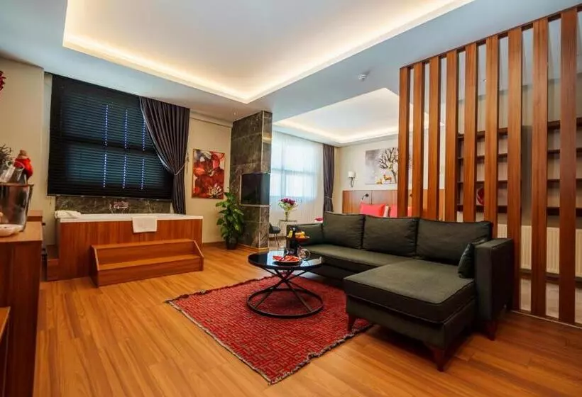 Library Hotel Erciyes