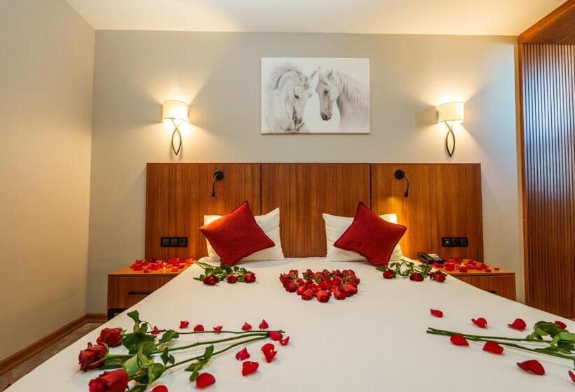 Library Hotel Erciyes