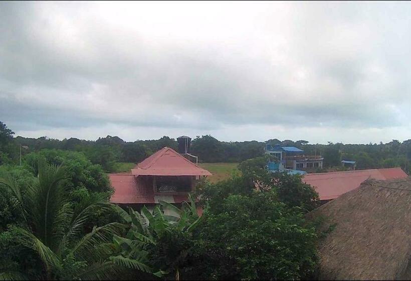 پانسیون Casa Palum Prívate Room Prívate Bathroom