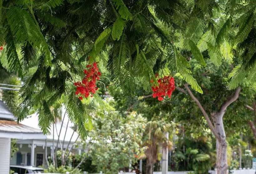 Retkeilymaja The Porch On Frances Inn   Adults Exclusive