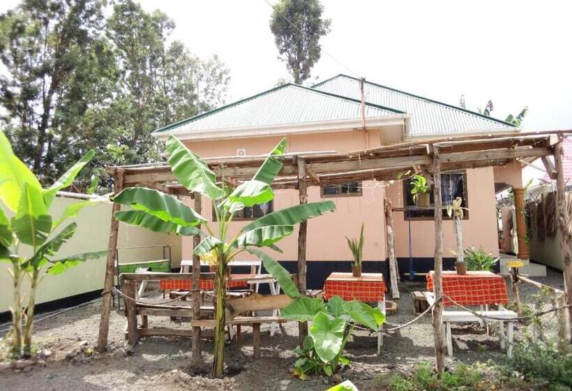 هاستل Swahili House & Art