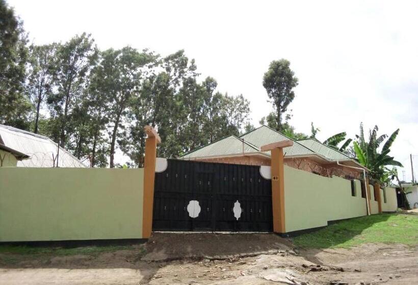 هاستل Swahili House & Art