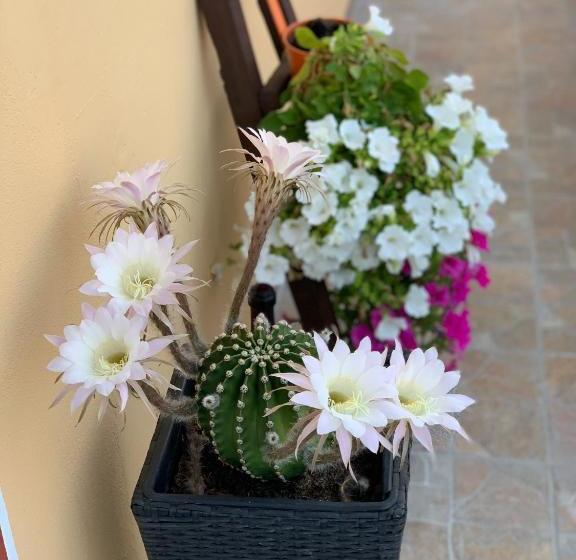 צימר Bb Borgo Biella