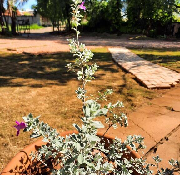 Pension Pousada Da Estação