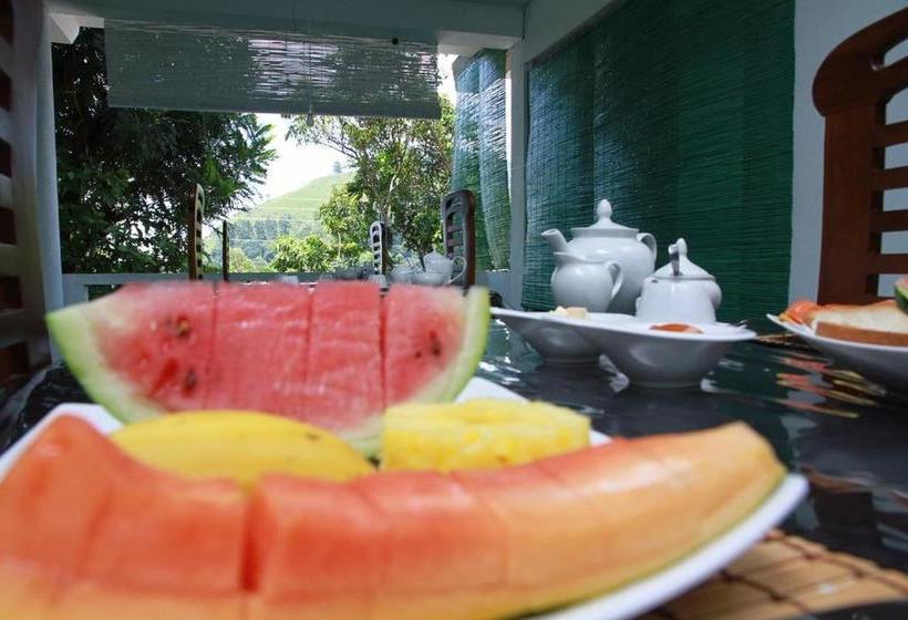 Pensjonat Rock Grand View