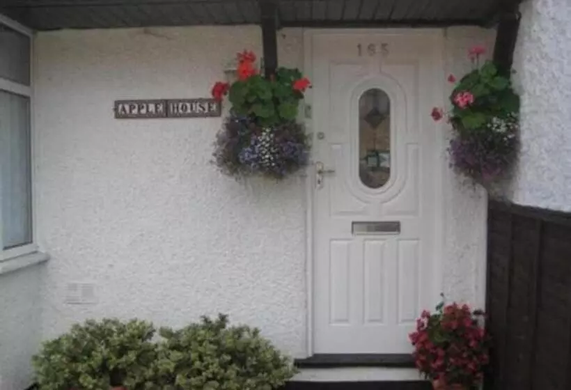 Majatalo Room In Guest Room   Double Room Private Shower Room Deg Yr